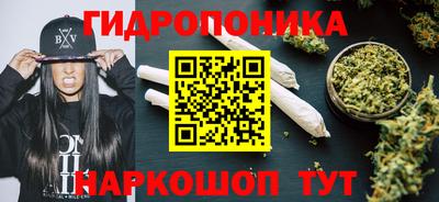 крисы Аргун