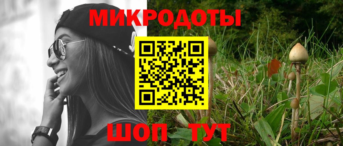Галлюциногенные грибы Magic Shrooms  Вход с VPN  Набережные Челны  Галлюциногенные грибы GOLDEN TEACHER 